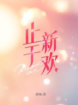 止于新欢什么意思
