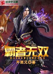 三国之霸者无双