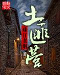 土匪营长