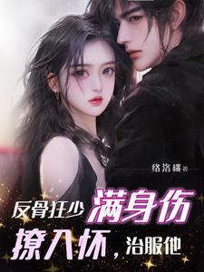 硝烟盛的正确解释