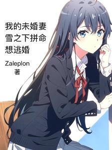 我的未婚妻电视剧