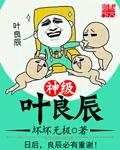 主角是叶良辰的是什么