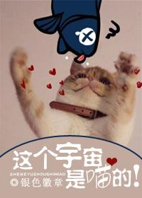 这个宇宙怎么来的