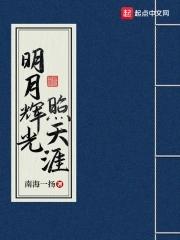 明月照光是什么意思