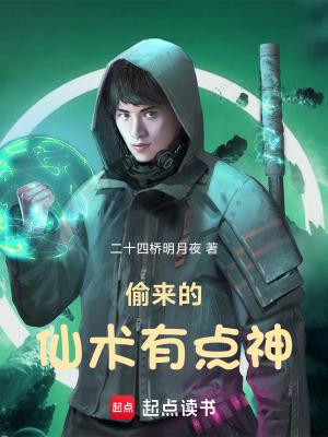 偷来的仙术有点神境界划分