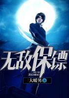 无敌保镖破长空244全集