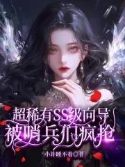 哨兵和向导的设定