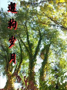 遛狗的心情说说遛狗朋友圈发什么好啦