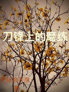 刀锋上的行走读后感