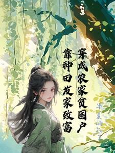 农村家庭小别墅设计图