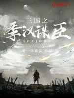 三国之季汉风云