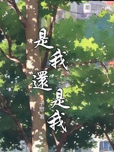 是我还是我藏机诗