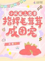 小凤凰三岁半
