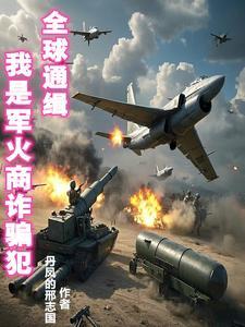 主角是军火商人的都市