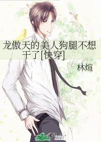 龙傲天的美人师傅