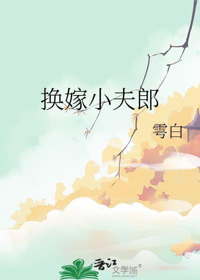 换嫁小夫郎txt
