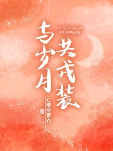 与岁月共戎装免费阅读