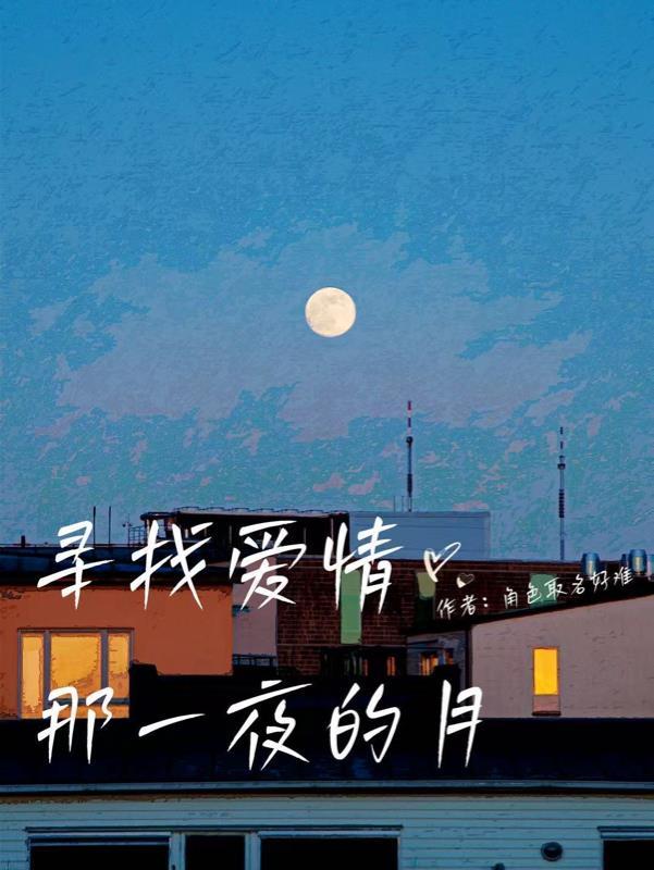 寻找爱情那一页的月全文免费阅