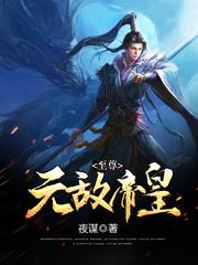 至尊无敌帝皇免费阅读