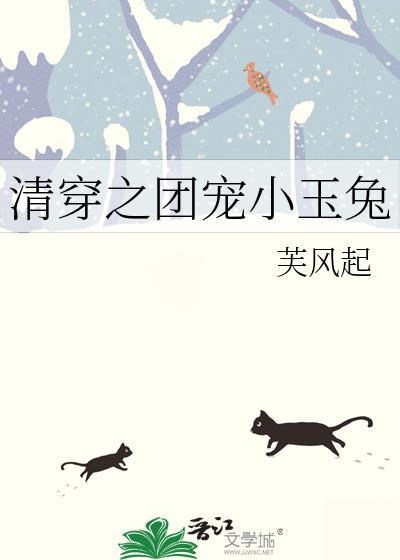 清穿之团宠小玉兔TXT奇书网
