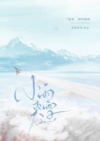 小雨夹雪txt