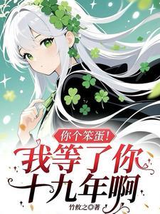 笨蛋什么意思