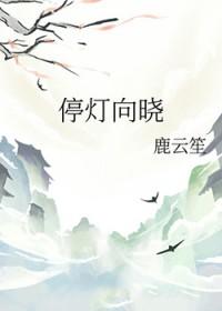 停灯向晓 裴聿礼