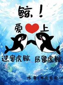 最有名的过客虎鲸