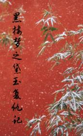 红楼黑黛玉