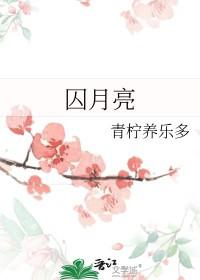 囚月亮晋江