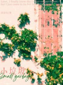 小垃圾我在江边走TXT