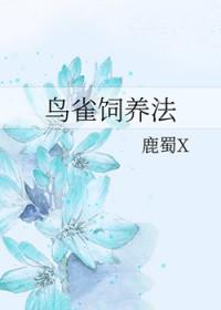 海贼王鸟雀饲养法