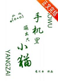 屏幕上来了一只猫