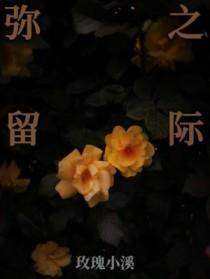 弥留之际爱丽丝第三季