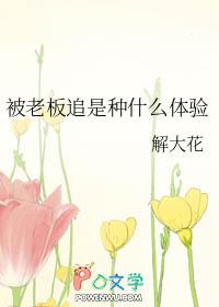 被老板追求怎么办