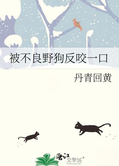 野狗咬到人怎么办
