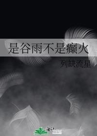 是谷雨不是癫火免费