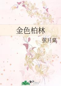 金色柏林笔趣阁