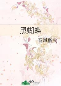 黑蝴蝶电视剧免费观看