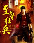 至尊狂兵叶轩秦璐
