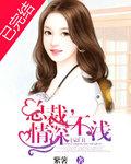 总裁情深不浅紫薯全文免费阅读