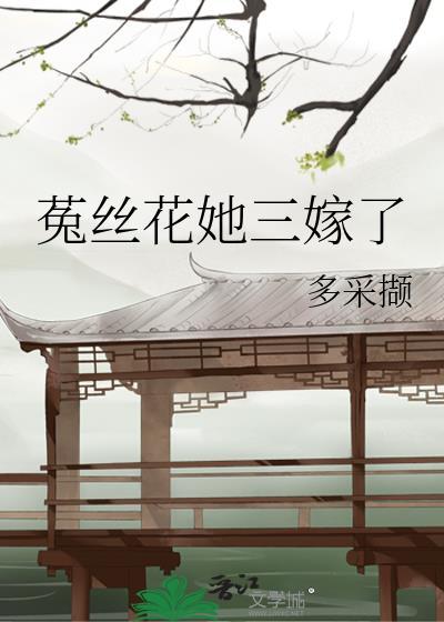 菟丝花她三嫁了全文阅读最新章节更新