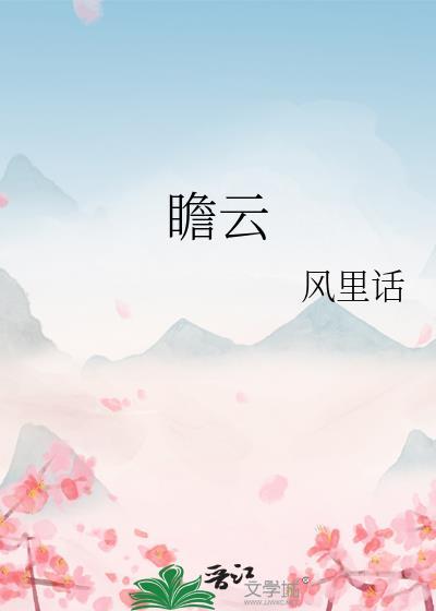 瞻云什么什么