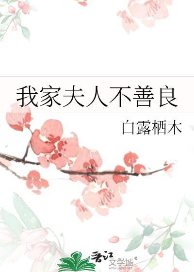 我家夫人不太聪明的样子