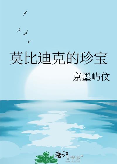 莫比迪克的珍宝100章节