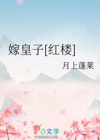 红楼皇太子