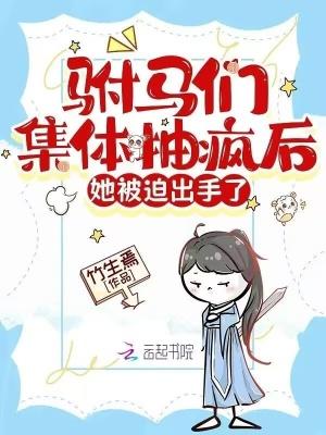 驸马被欺负