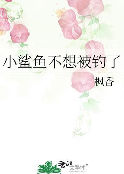 小鲨鱼不想努力了