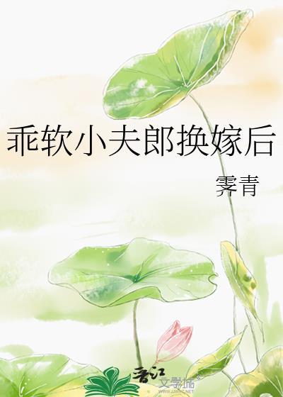 乖软小夫郎换嫁后作者霁青