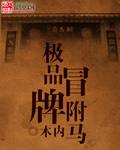 冒牌驸马gl